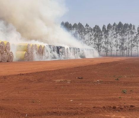 Meio Ambiente e Agro
